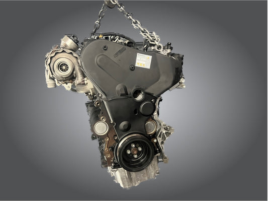 DFH DFHA Motor 2.0TDI 190PS 0Km Komplett VW Audi Engine Motore Moteur